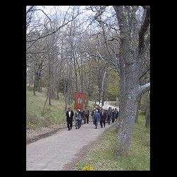 Romeria en Bliecos